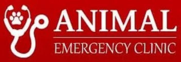 Animal Emergency Clinic (1328437)